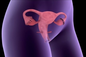 搜狐科学 | 英科学家称卵巢移植可延缓女性衰老，这个手术值得做吗？