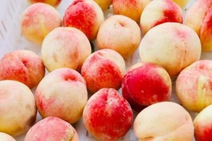 常吃桃子优点多可黄桃、水蜜桃、蟠桃糖尿病患者应该怎样选