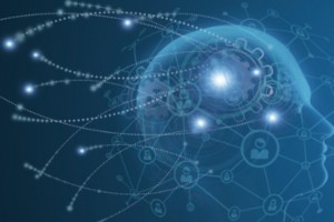 美科研人员发现大脑构成长时间回忆的分子机制