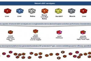 囊获调控基因表达利器AskBio致力改良基因疗法