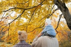 秋季养生每类人的对应食谱男女老幼各不相同参照一下