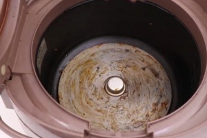 电饭锅这地方不洗等于在吃"细菌"教你一招洁净如新更省电