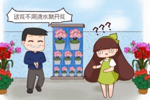 买花听到这4句话掉头就走不然坑的就是你