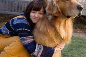 如何照顾老年犬如何让它在晚年的生活更贴心