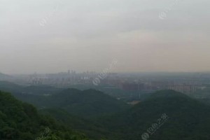 老钓友亲传亮水区时如何把握雷蛙游动速度