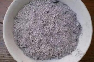 此种灰料是君子兰、绿萝的最爱土壤里掺1点根系壮