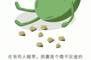 胆囊人体最苦的消化器官6件事让它少吃点苦
