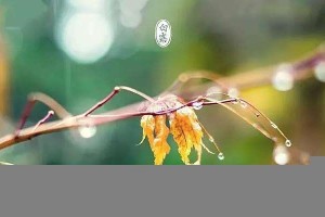 狐大医白露时节话养生做好三防三养