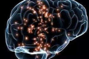新型核磁共振设备能看到大脑分子变化