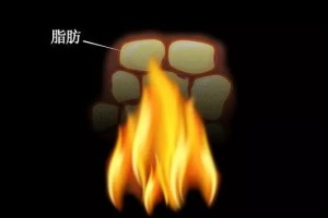 揭秘！肥胖究竟是营养过剩还是营养不良