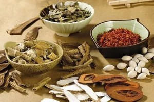 长虫发霉的中药居然会引起毒性反响本来这样做就可以防止!