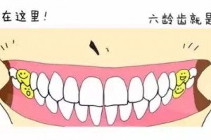终身无退换服务的六龄牙应该怎么保护