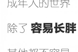 周末福利到布朗熊上线陪你减肥快来领取联名好礼