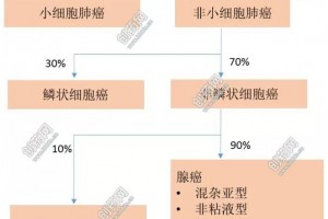 肺癌药物治疗市场及研发进展