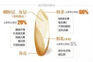 缓释主食惠及"3亿"的健康科技