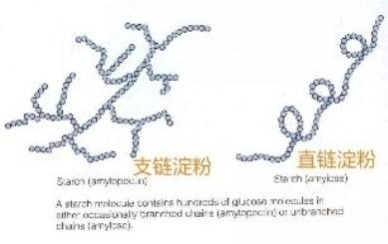图片32.png