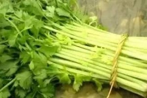 芹菜叶子没营养不能吃那你就错了芹菜叶比茎营养高好几倍