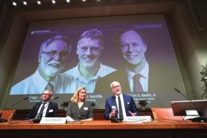 三位科学家获诺贝尔生理学或医学奖他们揭开细胞与氧的秘密