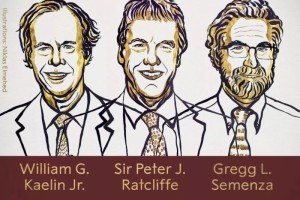 2019诺贝尔生理学或医学奖揭晓3位英美科学家共享揭开细胞与氧的秘密开拓癌症贫血新疗法