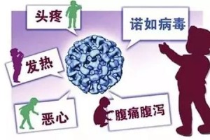 诺如不可怕科学来预防