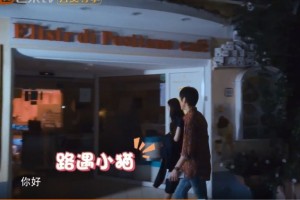 郭碧婷国外遇到猫咪看她的举动节目弹幕救场爱心泛滥不是好事