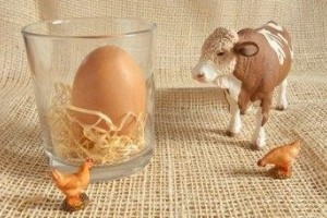 孕妇每天必须吃什么