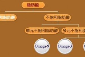 猪油到底好不好该选择大豆油葵花籽油还是调和油到底该如何选择食用油