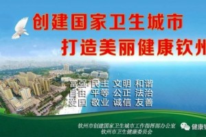创卫进行时丨模拟暗访找差距补短板时刻做好创卫迎检工作
