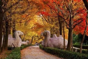 快讯医院最新要闻信息附两场大型义诊通知~