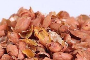 被丢掉的花生皮本来成效甚多常吃此物三个优点不速之客