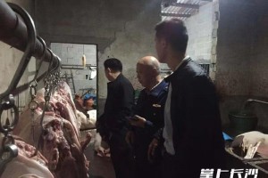 长沙摧毁一不合法屠宰黑窝点抄获4410公斤猪肉