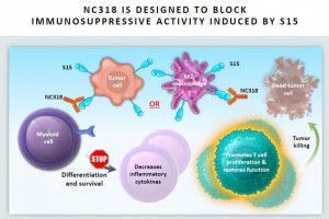 谋福PD1免疫疗法无效患者NextCure更新立异疗法临床成果