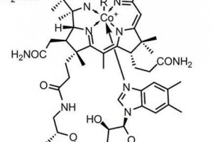 Science提醒免疫系统靶向维生素B12途径来中和结核杆菌机制