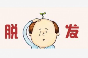 辽宁中医赵凤志提示男掉发补肾女掉发补肝