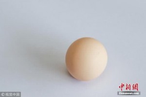 塑料污染进入食物链印尼鸡蛋被查验出含二恶英