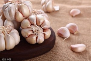抗癌的诀窍总算找到了医师提示五种食物无妨多吃一点