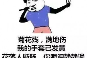 那些年被你误解的菊花~~