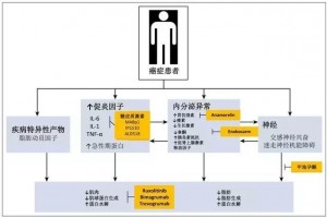 肿瘤恶病质你只知道体重下降
