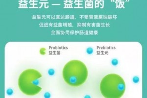 喂好你体内的益生菌这才是长命的真实诀窍