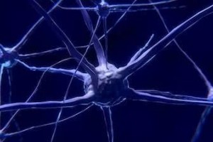 Nature分子护卫可协助医治帕金森症