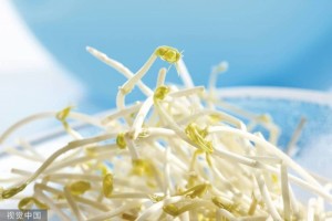 北京2批次绿豆芽不合格生产商方圆安全曾挂牌新三板