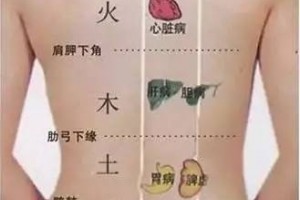 你的背走漏你的病赶忙看一看~