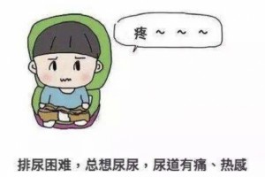 宝宝发烧未必是伤风更要警觉尿路感染