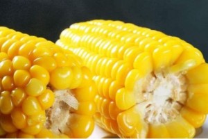 冬季女人坚持吃4种食物排毒养颜净化血液滋补女人子宫