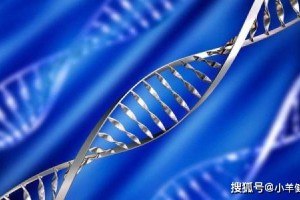 共同靶向基因治疗的高科技办法