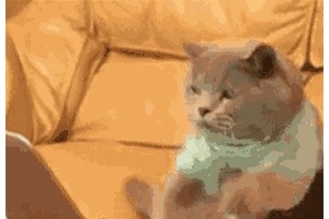 从前那些张狂节食运动瘦身的人最终都……翻车了……