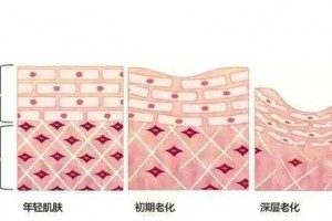 从20到30+的眼霜进化史