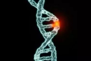 2019年终盘点Nature杂志重磅级突破性研究成果