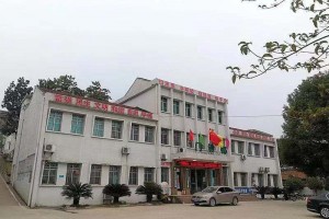 中医定向透药治疗仪临床装机