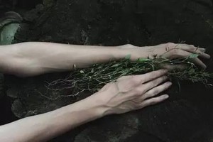 青筋凸出别粗心可能是身体出问题